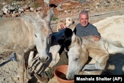 In this undated photo provided by Mashala Shelter, Hussein Hamza pets animals at his animal shelter in Kfour, south Lebanon. (Mashala Shelter via AP)