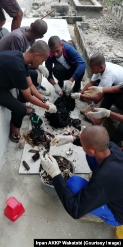 Sampah yang dikumpulkan dari saluran pencernaan paus akan dianalisis lebih lanjut, Wakatobi, Sulawesi Tenggara, 20 November 2018. (Foto: Irpan AKKP Wakatobi)