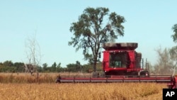 ARHIVA - Kombajn žanje sojinu sačmu na njivi u Sijuks Folsu, u Južnoj Dakoti, 1. oktobra 2013. (Foto: AP/Carson Walker)