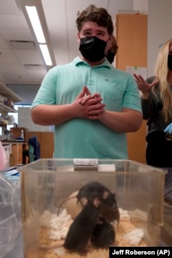 Jake Meets His Mice - Researchers are using the stem cells derived from the blood of Jake Litvag