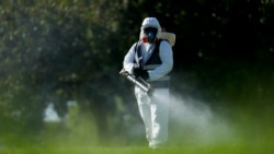 Autoridades sanitarias en El Salvador emitieron alerta epidemiológica por dengue
