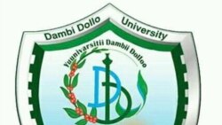 “ልጆቻችን ስለመለቀቃቸው ያወቅነው ነገር የለም” - ቤተሰቦች