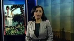 Yashil mahallalar - Urban parks