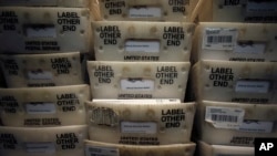 Election 2024 Explainer How We Vote