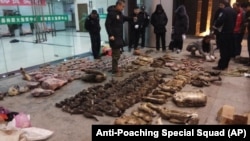 2020年1月9日反偷獵特遣隊照片: 警方在安徽省廣德市調查查獲的野生動物。
