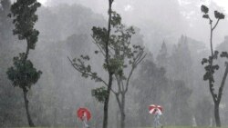 Rain, Rain, Go Away!