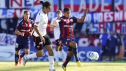 عکس تزئینی است