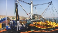 Aumentam apelos para medidas mais duras contra a pesca ilegal na costa angolana – 2:47