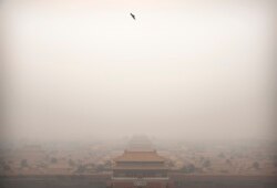 FILE - A bird flies over the Forbidden City on a day with high levels of air pollution in Beijing, China, Jan. 18, 2020.