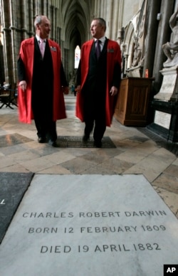 FILE - Two cathedral guides walk toward the grave of Charles Darwin at Westminster Abbey, in London, Feb. 4, 2009.