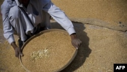 ФАО: Між груднем і січнем у світі зросли ціни на харчові товари