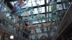 ኢትዮጵያዊ የባህል ዝግጅት በዋሽንግተን ዲሲ