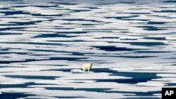 FILE - In this Saturday, July 22, 2017, file photo, a polar bear stands on the ice in the Franklin Strait in the Canadian Arctic Archipelago. The U.N.’s climate chief Patricia Espinosa says deadlines set by some of the world's top polluters to end…