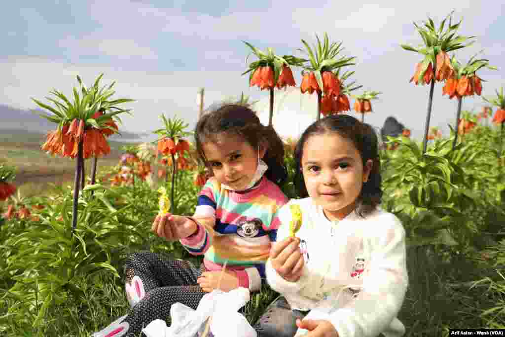 Guldexwinan Xwezaya Wanê Xemilandin 