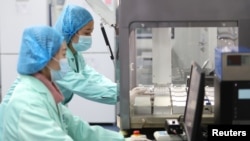 位于云南昆明的中国华大基因集团实验室的科技人员在工作。（路透社 2018年12月26日）