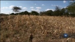 Aграрії можуть призупинити деградацію ґрунту і, заощадити гроші за допомогою цих технологій. Відео