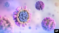 کروناویروس برای نخستین بار در اواخر ۲۰۱۹ در شهر ووهان چین گزارش شد