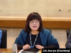 台灣東南亞與南亞協會理事長林若雩（林若雩提供）