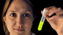 Quiz - Female Researchers Get Less Financial Support than Males