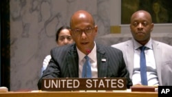 Wakil Duta Besar Amerika di PBB, Robert Wood 