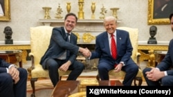 2025년 3월 13일 미국 워싱턴 D.C. 백악관 오벌오피스에서 도널드 트럼프 미국 대통령이 미국을 방문한 마르크 뤼터 나토 사무총장과 만나 악수를 나누고 있다. (사진출처: X@WhiteHouse)