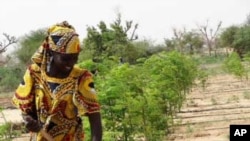 Namibe: Banco Sol disponibiliza 50 milhões de dólares a pequenos agricultores