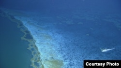 The brine pool has its own shoreline, with minerals seeping over the edge and cascading down its sides.