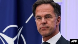 მარკ რუტე, ნიდერლანდების პრემიერ-მინისტრი