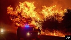 Požar u Orovilu u Kaliforniji, 9. septembar 2020. ( Foto: AP/Noah B)