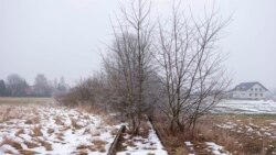 奧斯威辛解放80週年歐盟主席呼籲“永不遺忘”