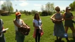 Курси збиральників для дітей асфальту. Відео