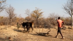 Aumetam avisos de fome devido a seca no Namibe – 2:43