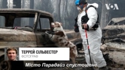 Рай перетворився на пекло: ціле місто згоріло внаслідок лісових пожеж в Каліфорнії. Відео