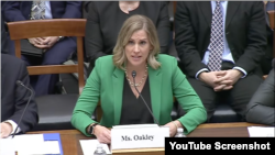 미 정부 회계감사원(GAO) 계약∙국가안보인수 부서의 셸비 오클리 국장이 2025년 3월 11일 하원 군사위 해상전력∙투사력 소위원회가 미국의 선박 건조 현황을 점검하기 위해 개최한 청문회에서 발언하고 있다. (출처=하원 군사위 유튜브 스크린샷)