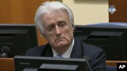 Radovan Karadžić u sudnici