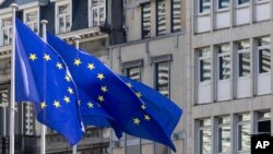 Arhiva - Zastave Evropske unije vijore se na vetru uoči samita EU u Briselu, 27. juna 2024. (Foto: AP/Geert Vanden Wijngaert)