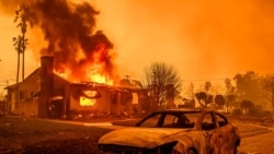 ကယ်လီဖိုးနီးယားတောမီးနဲ့ ရင်ဆိုင်ဖို့ မီးသတ်သမားတွေ အင်အားဖြည့်