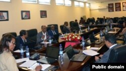 የሕገ መንግሥት አጣሪ ጉባዔ አባላት በስብሰባ ላይ