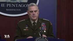 გმირი ძაღლი - ლიკვიდირებული ტერორისტი