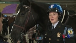 У Вашингтоні відбулася церемонія випуску чергової групи поліцейських вершників. Відео