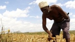 Seca leva camponeses a sairem do Namibe para a Huíla - 3:08