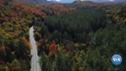 Amerikaga sayohat: Vermont