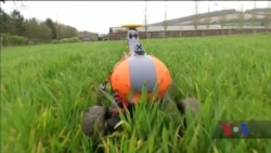 Як автоматизація може зменшити негативний вплив промислового сільського господарства на екологію. Відео