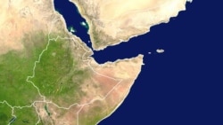 ተፈናቃዮች ወደ ጠለምት ወረዳ መመለሳቸውን ወታደራዊ እዙ አስታወቀ