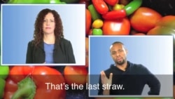 English in a Minute: The Last Straw