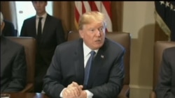 Президент США розпорядився негайно почати процес закриття лотереї «Зелена Картка». Відео