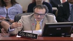 Crisis de migrantes venezolanos llega a la OEA