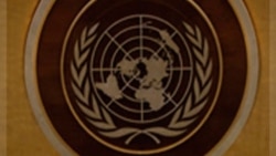 سازمان ملل متحد