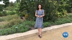 Ishchi viza bilan AQShga kelgan muallima