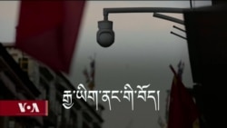 ཕྱི་རྒྱལ་གྱི་རྒྱ་ཡིག་དཔེ་དེབ་ནང་གི་བོད། 